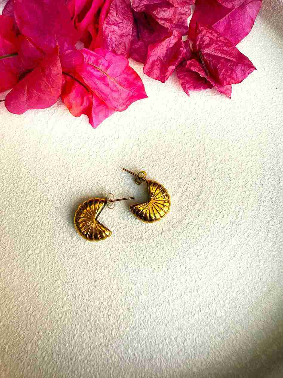 ARIZONA STUD image 0