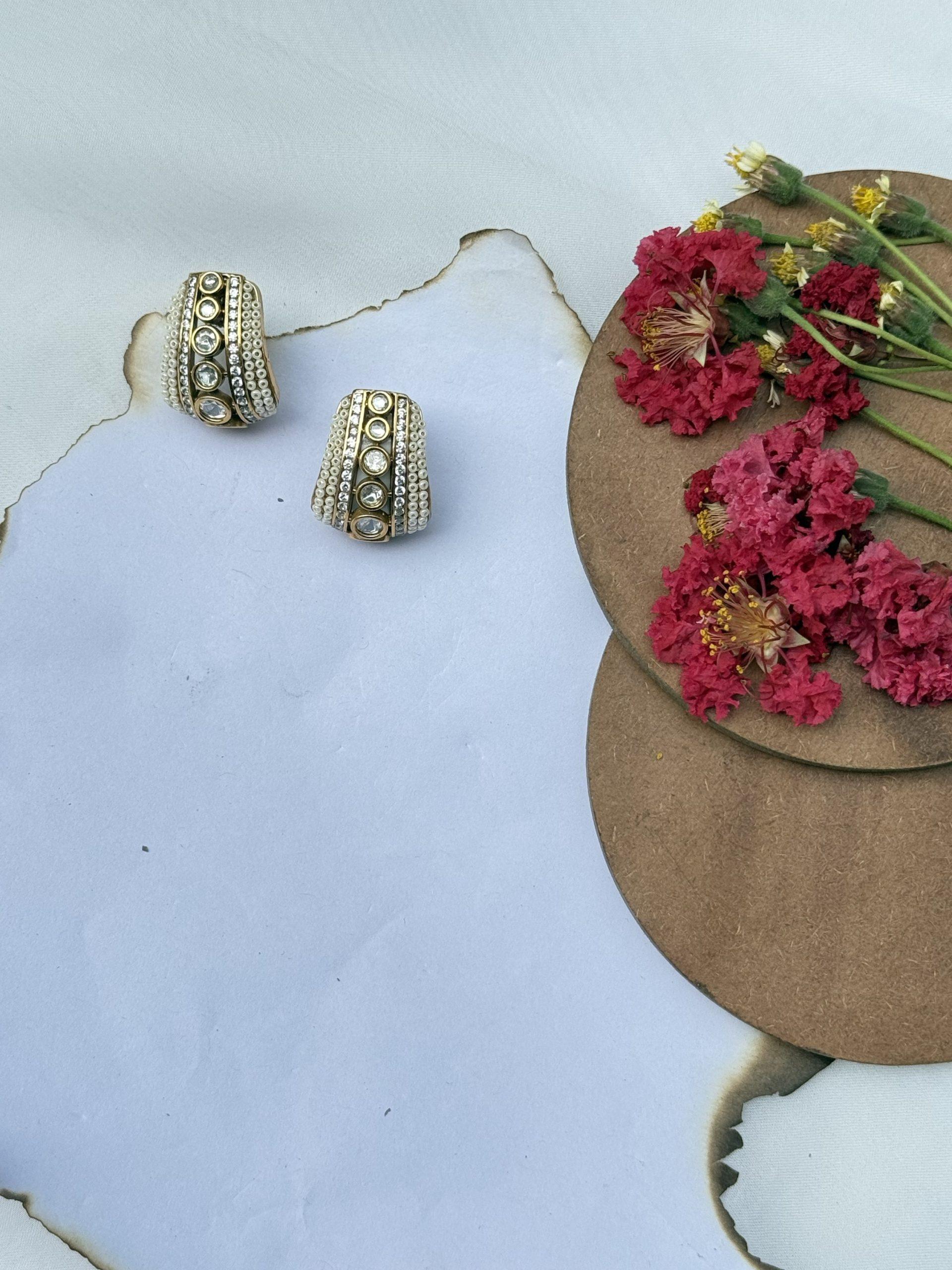Vasvi Earrings image 0